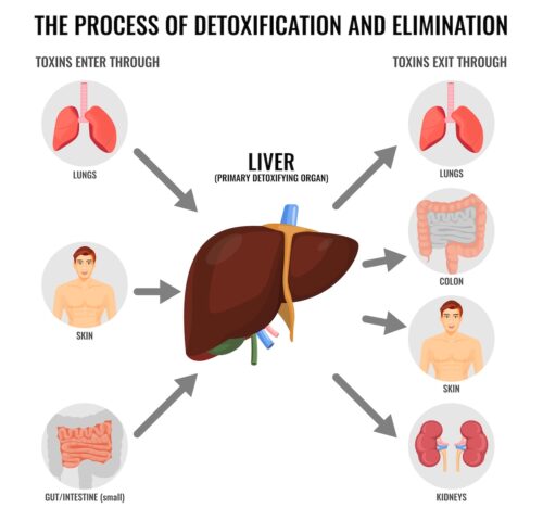 natural healing methods: holistic wellness