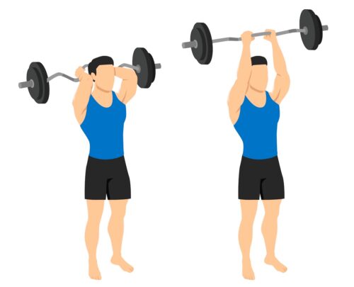 EZ Bar Overhead Triceps Extensions