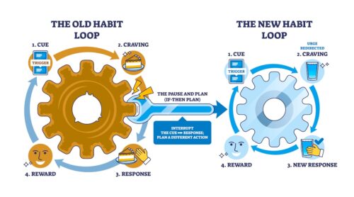 habit formation & behavior change 